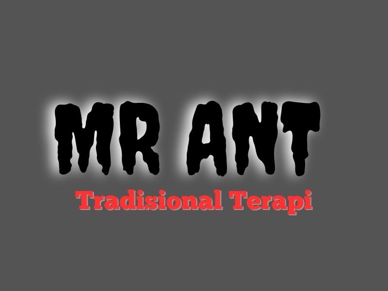 MR. ANT