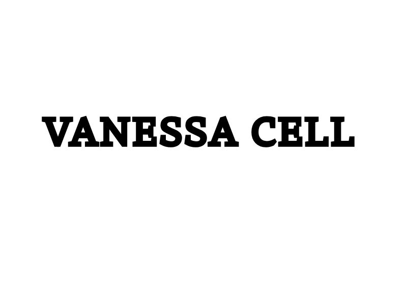 JOE CELL - VANESHA CELL